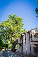 Casa Rural Roblemocho